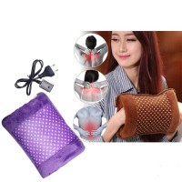 Electric Hot Water Bag/Heat Pillow and Pain Remover