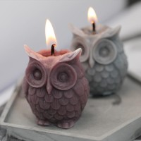 Owl Candle Silicone Mold for Candle Making DIY Handmade Molds Plaster Wax Mould